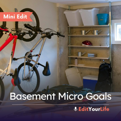 episode Mini Edit: Basement Micro Goals artwork