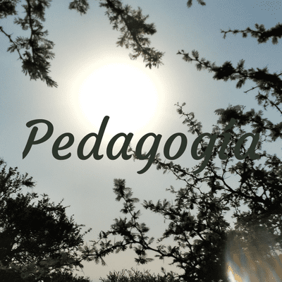 Pedagogía