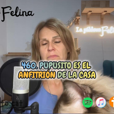 episode 460. Pupusito es el ANFITRIÓN de la casa artwork