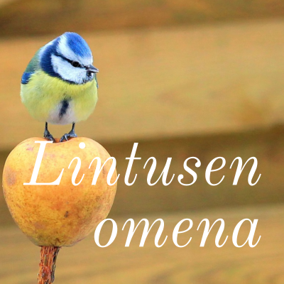 Lintusen omena