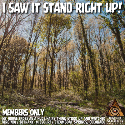 episode Teen Comes Face-To-Face With Giant Bigfoot South Of Bethany, Missouri | Member's Only Episode A14 artwork