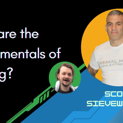 episode What are the Fundamentals of Striking? w/ Scott Sievewright artwork