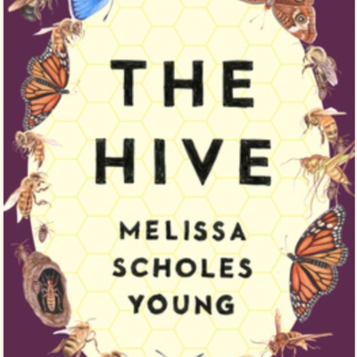 The Avid Reader Show - Episode 621: Melissa Scholes Young - The Hive