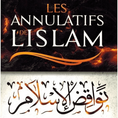 episode Nawaqid Al-islam 07_Abou ibrahim Souleyman Diallo artwork