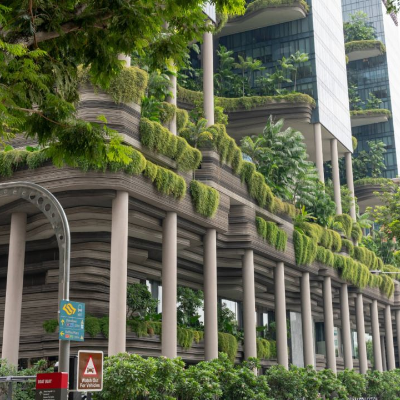 episode Grünes Singapur artwork