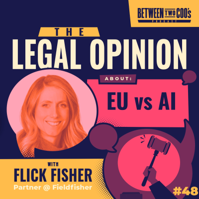 episode AI and Privacy: Navigating the EU's New AI Act & the Impact on US Companies with Flick Fisher artwork