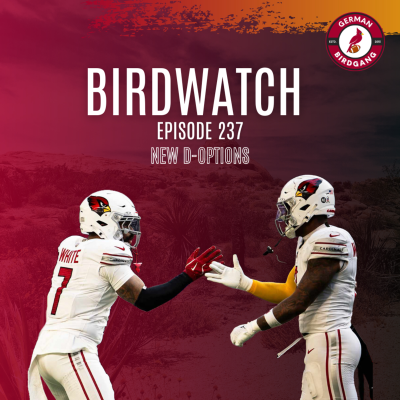 episode EPISODE 237 - NEW D-OPTIONS artwork