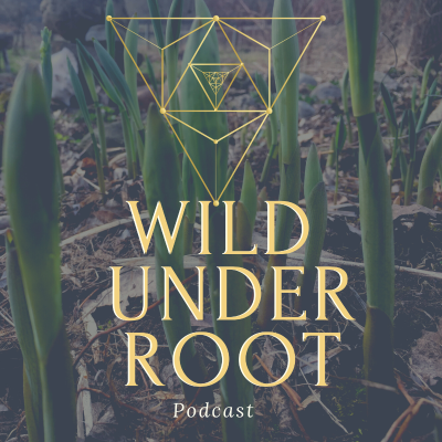episode Episode 11: Adoption and Ancestral Reclamation with Jordan Reed artwork