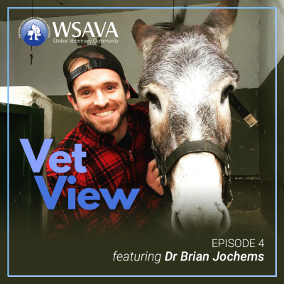 episode Ep 4. In home euthanasia: working as a mobile veterinarian artwork