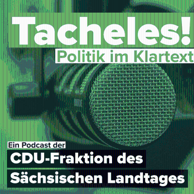 Tacheles! Politik im Klartext