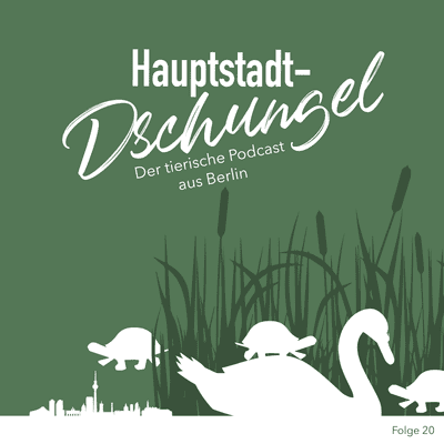 episode Unerwartete Tierfreundschaft artwork