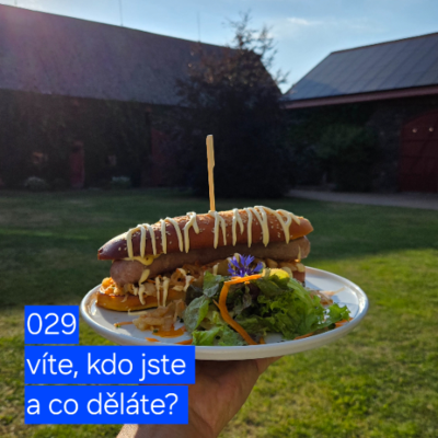 episode 029 víte, kdo jste a co děláte? artwork