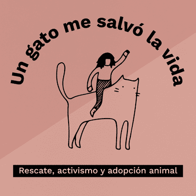 Un gato me salvó la vida