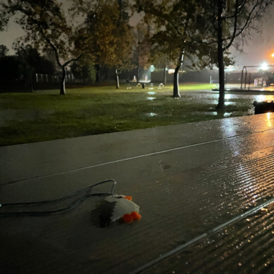episode Dec 23 Epilogue in a Rainstorm artwork