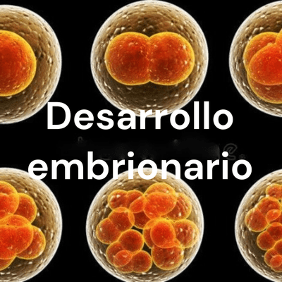 Desarrollo Embrionario