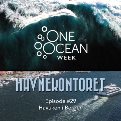 episode Ep. #29 - Havuken i Bergen artwork