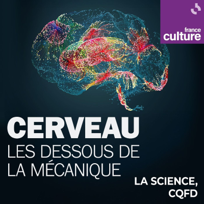 episode Cerveau : les dessous de la mécanique 1/4 : Cerveaux préhistoriques, où faut-il donner de la tête ? artwork