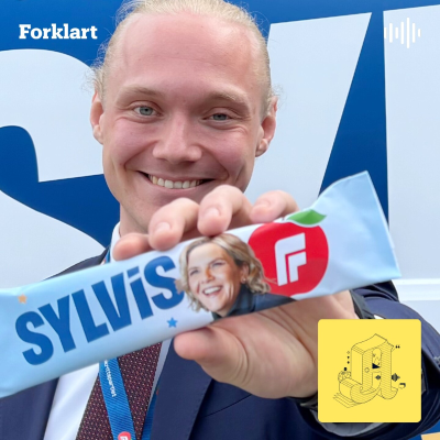 episode Hemmelige givere: Hvem sponser valgkampen? artwork