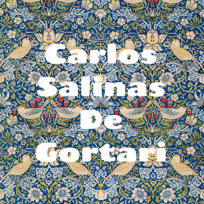 Carlos Salinas De Gortari