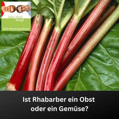 episode Ist Rhabarber ein Obst oder ein Gemüse? artwork