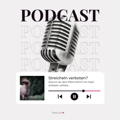 episode Warum du dein Pferd NICHT am Kopf anfassen solltest… artwork