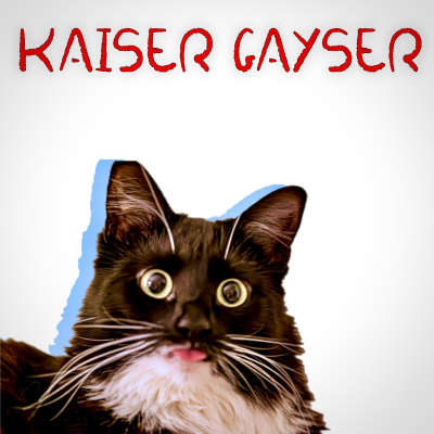 episode Organic & Progressive House Radio By Kaiser Gayser @ Royal Dance Grooves DHFM92.0 March 2025 artwork