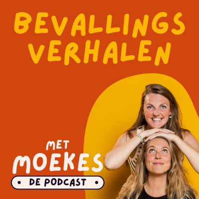 episode 13 - Thuisbevalling zonder pijn: Anne Felix (WorkitBaby) | Bevallingsverhaal 13 artwork