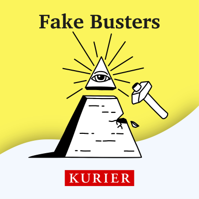 Cover image Fake Busters