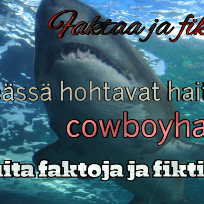 episode Pimeässä hohtavat hait, cowboyhatut ja muita faktoja ja fiktioita artwork