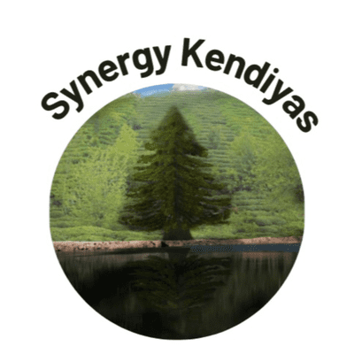Synergy Kendiyas