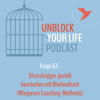 episode 63 - Stresstrigger gezielt bearbeiten mit Biofeedback (Wingwave Coaching-Methode) artwork