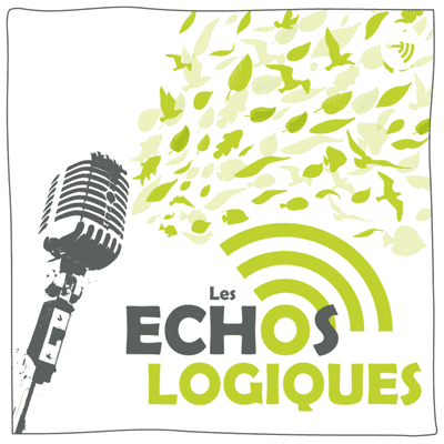 Les échos-logiques