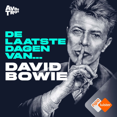 Cover image De Laatste Dagen Van... David Bowie