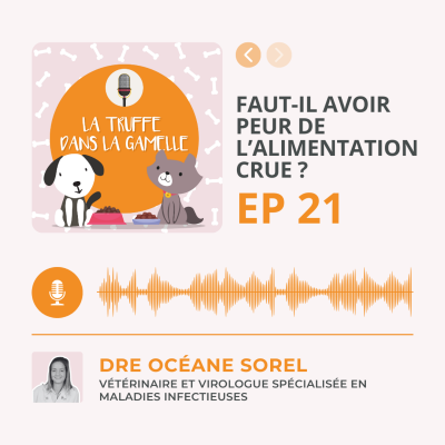 episode Faut-il avoir peur de l’alimentation crue ? artwork