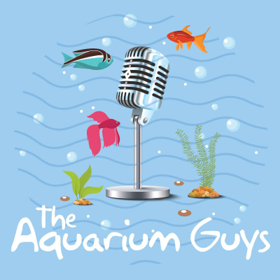 episode #114 – Ram Cichlids artwork