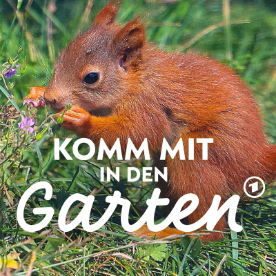 episode Eichhörnchen: Wie wir den Wildtieren im Garten helfen artwork