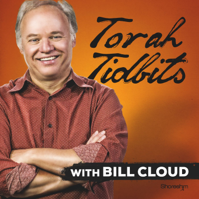 Torah Tidbits