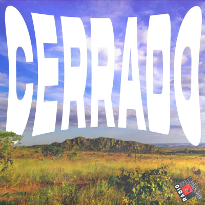 episode RM #90: Cerrado em chamas artwork