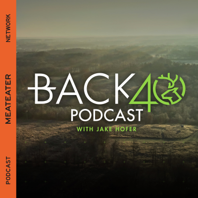 episode Introducing: Back 40 artwork