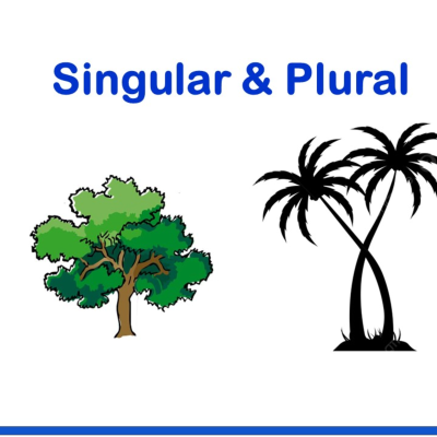 episode Persian Lesson 9 : Singular and Plural artwork