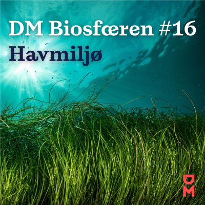 episode DM Biosfæren: Kan vi nå at redde havet? artwork
