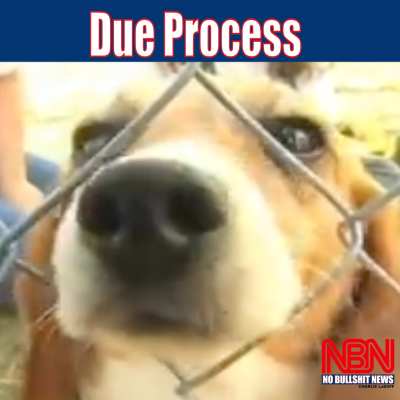 episode Due Process artwork