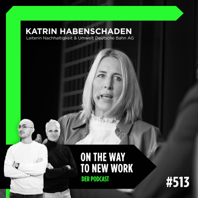 episode #513 Katrin Habenschaden | Leiterin Nachhaltigkeit & Umwelt Deutsche Bahn AG artwork