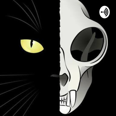 EL GATO DE SCHRÖDINGER 😺👨🔬