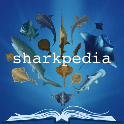 Sharkpedia