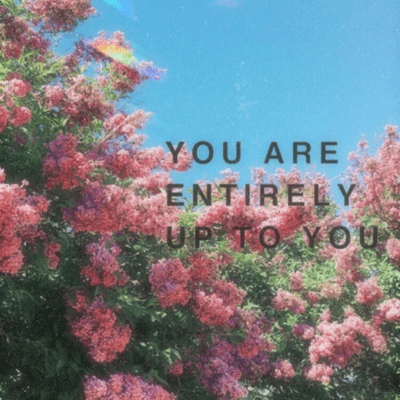 episode You are entirely up to you artwork
