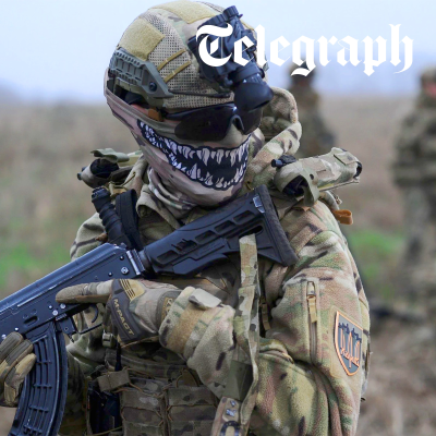 episode Revealed: Ukraine told to accept ‘cash-for-land’ deal with Putin artwork