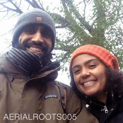 episode AERIALROOTS005 artwork