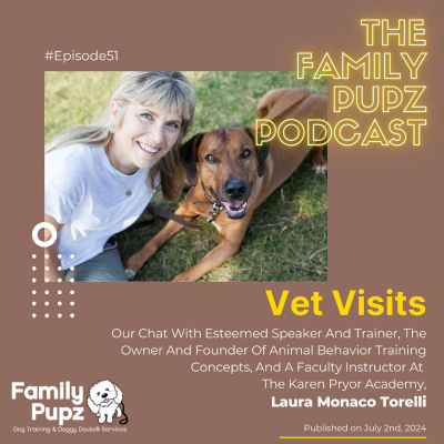 episode Vet Visits artwork