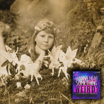 episode The Cottingley Fairies artwork